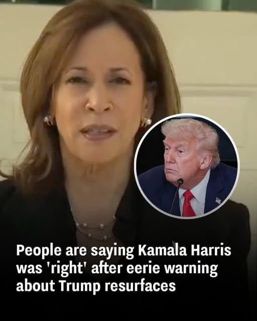 Harris Past Remark About Trump Proves Strikingly Accurate Online